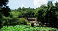 長沙出發到花明樓、韶山、張家界國家森林公園、天門仙山國家森林公園四日游